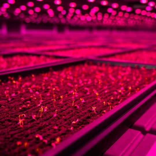 GoodLeaf Farms