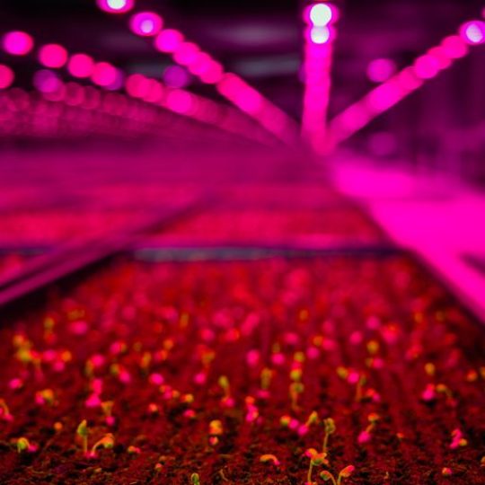 GoodLeaf Farms